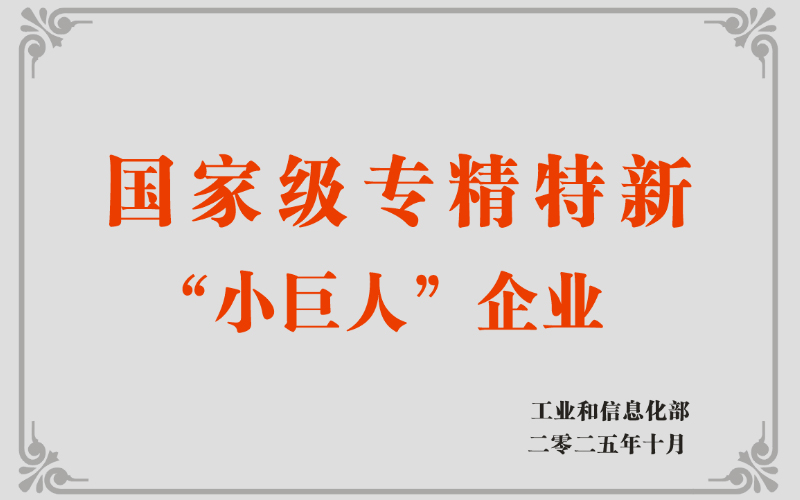 專精特新小巨人企業(yè)